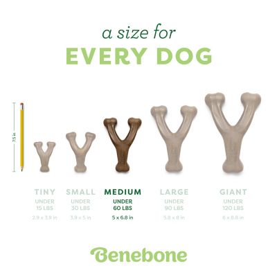 Image showing  Wishbone Durable Dog Chew Toy, Real Chicken, Medium