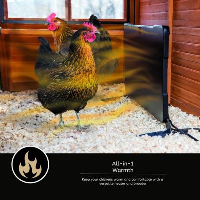 Image showing  Chicken Coop Brooder and Heater for 10 Birds
