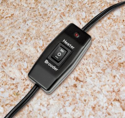 Image showing 6 th Producer's Pride Chicken Coop Brooder and Heater for 10 Birds