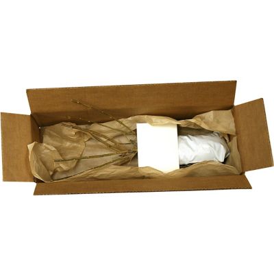 Image showing  Gold Lynwood Forsythia Plant