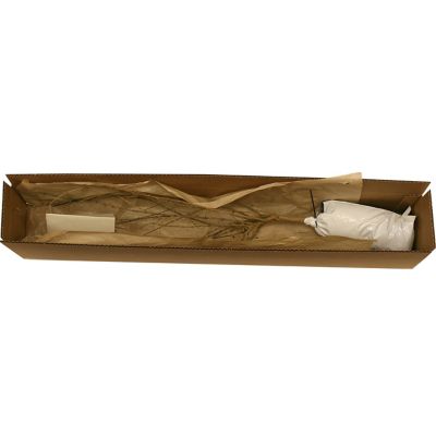 Image showing  Pink Honeysuckle Plant