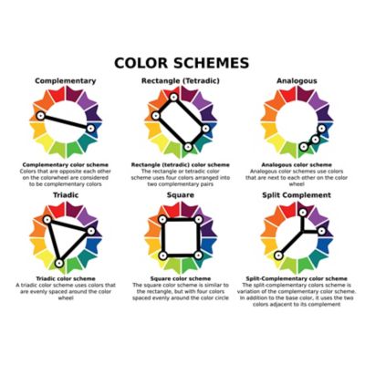 Image showing  Color Your Garden Blue Plant Collection, Set of 38 Bulbs