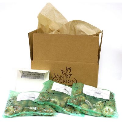 Image showing  Color Your Garden Blue Plant Collection, Set of 38 Bulbs