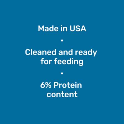 Image showing  Deer Corn Feed, 40 lb. Bag