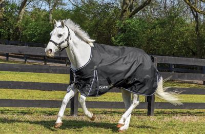 horse blankets