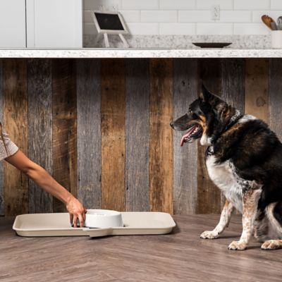 Image showing  Woof Pet Feeding Mat, Large, Ivory