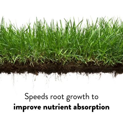 Image showing 5 th GreenView 40.5 lb. 15,000 sq. ft. Crabgrass Control and Lawn Food