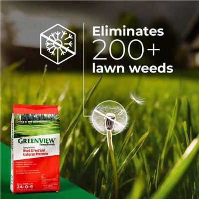 Image showing  36 lb. 10,000 sq. ft. Fairway Formula Spring Fertilizer Weed and Feed + Crabgrass Preventer