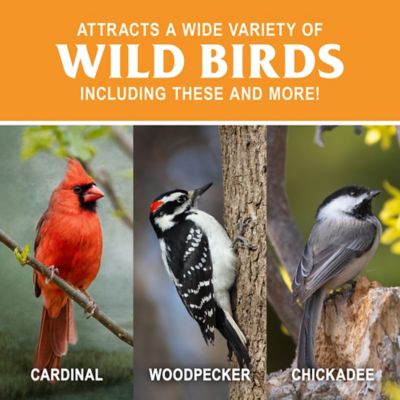 Image showing  4 Stacker Bird Feeder