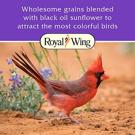Royal Wing Bird Seed Storage Can, 10 gal. at Tractor Supply Co.
