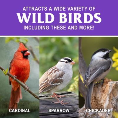 Image showing  Farm Mix Wild Bird Food