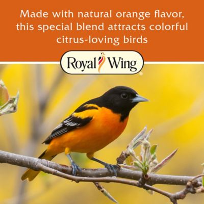 Image showing  All-Season Orange Flavor Suet Cake, 11.25 oz.