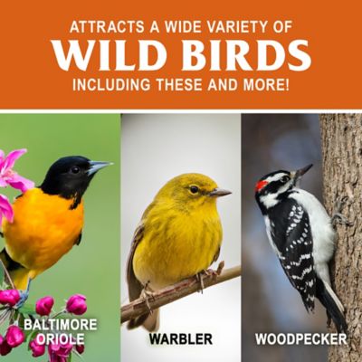 Image showing  All-Season Orange Flavor Suet Cake, 11.25 oz.