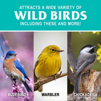 Image showing  Mealworm Wild Bird Food Stacker, 9.5 oz.