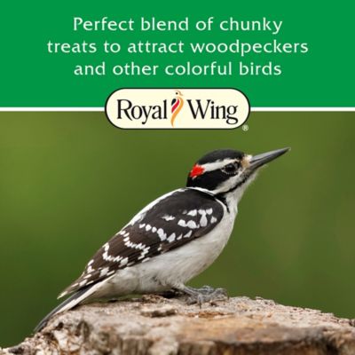 Image showing  Woodpecker Wild Bird Food Stacker, 8 oz.