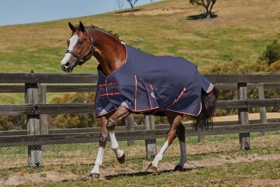 WeatherBeeta ComFiTec Plus Dynamic Horse Blanket with Standard Neck, Mediumweight, 816937
