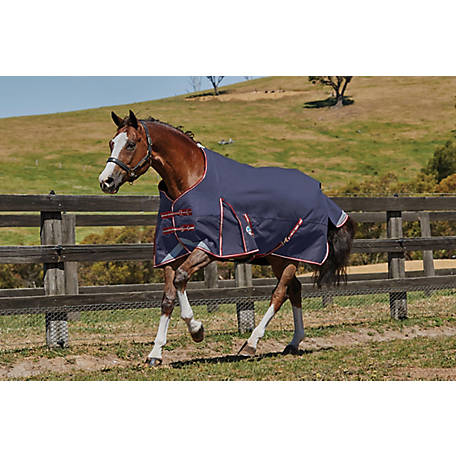 WeatherBeeta ComFiTec Plus Dynamic Horse Blanket with Standard Neck, Mediumweight, 816937