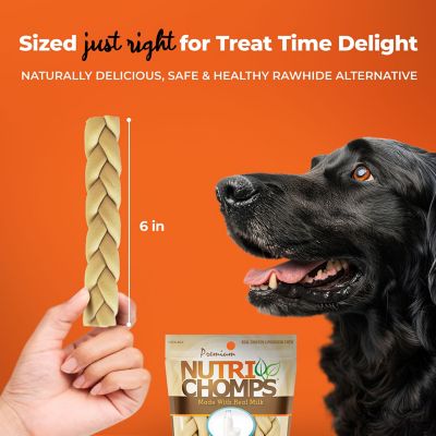 Image showing  6 in. Braided Peanut Butter, Chicken and Milk Flavor Dog Chew Treats, 6.24 oz.