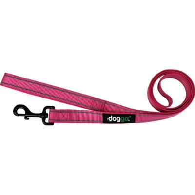 reflective dog leash