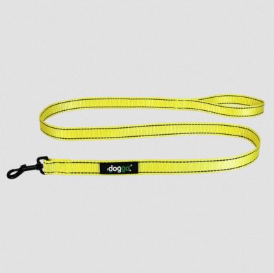 Image showing  Reflective Nylon Dog Leash, 5 ft., Neon Yellow