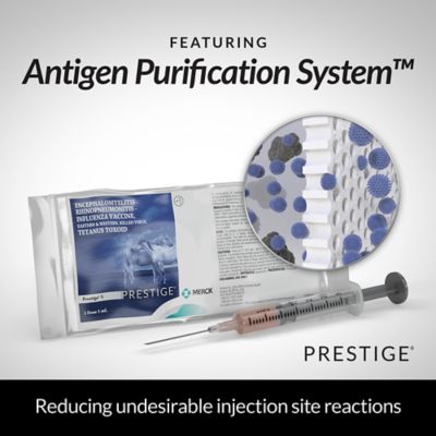 Image showing  4 Horse Vaccine, 1 Dose