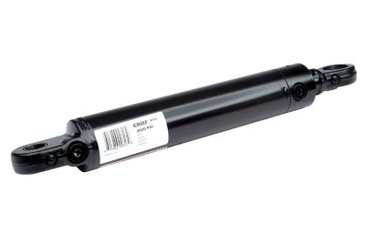 Chief 2 in. Bore x 20 in. Stroke WTG Welded Tang Hydraulic Cylinder, 1.125 in. Rod Diameter