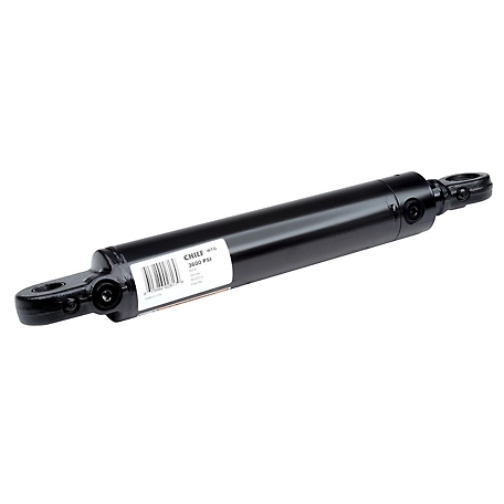 Chief 2 in. Bore x 20 in. Stroke WTG Welded Tang Hydraulic Cylinder, 1.125 in. Rod Diameter