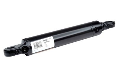 Chief 2.5 in. Bore x 10 in. Stroke WTG Welded Tang Hydraulic Cylinder, 1.375 in. Rod Diameter