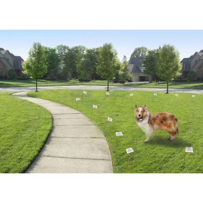 Image showing  500 ft. Premium Pet Fencing System Full Kit