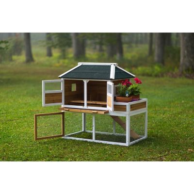 Image showing  Chicken Coop with Herb Planter, 3 to 4 Chicken Capacity