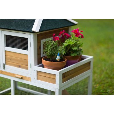 Image showing  Chicken Coop with Herb Planter, 3 to 4 Chicken Capacity