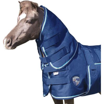 image of a Horse Blanketing Accessories