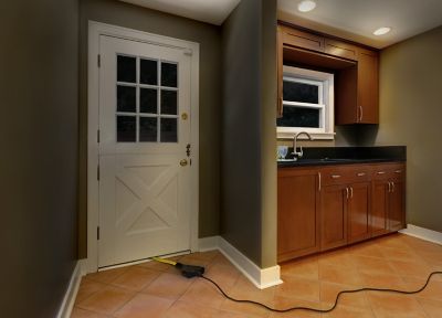 Image showing 6 th Champion Power Equipment 25 ft. 125V 30A Fan Style Flat Generator Extension Cord