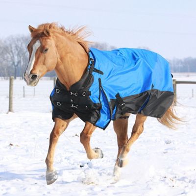 Image showing  Extreme 250g/1680D Polyester Waterproof Horse Turnout Blanket
