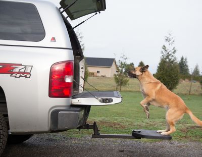 Heininger PortablePet Portpet Twistep Dogstep for Trucks