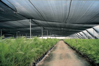 Image showing  6 ft. x 100 ft. 50% UV Knitted Shade Fabric Roll, Black