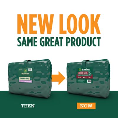 Image showing  Premium Western Forage Orchard Grass Grab and Go Compressed Hay Bale, 50 lb.