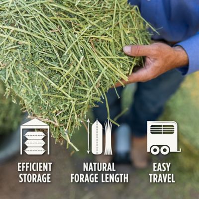 Image showing  Premium Western Forage Orchard Grass Grab and Go Compressed Hay Bale, 50 lb.