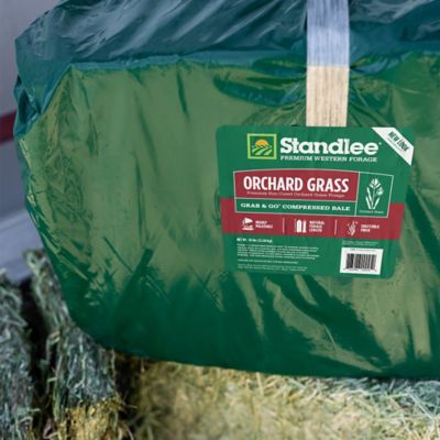 Image showing  Premium Western Forage Orchard Grass Grab and Go Compressed Hay Bale, 50 lb.