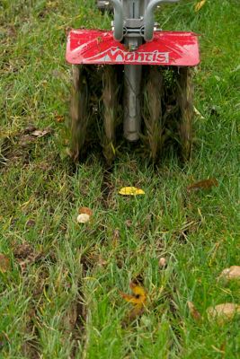 Image showing  Aerator Attachment for 9 in. Tillers