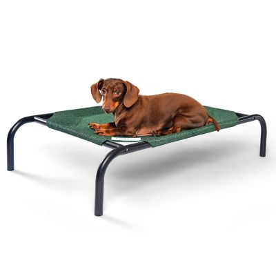 Coolaroo Original Elevated Pet Bed