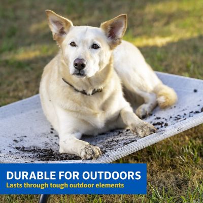 Image showing 1 th Coolaroo Original Elevated Pet Bed