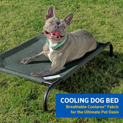 Image showing 1 th Coolaroo Original Elevated Pet Bed