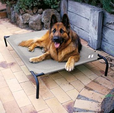 Image showing  Original Elevated Pet Bed