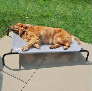 Image showing  Original Elevated Pet Bed
