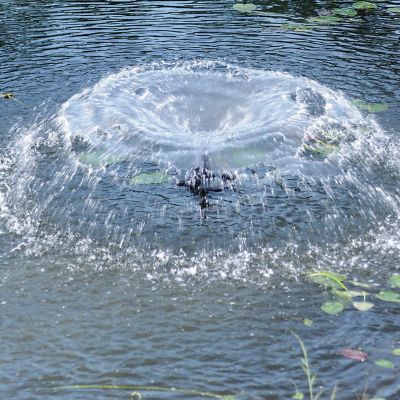 Image showing  18.75 in. Outdoor 1/4 HP Floating Pond Fountain with Lights