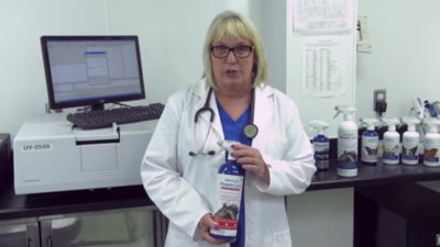 Image showing  FoamCare Medicated Equine Shampoo, 32 oz.