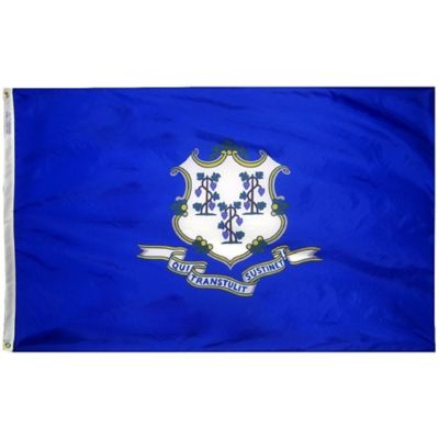 Annin Connecticut State Flag, 3 ft. x 5 ft.
