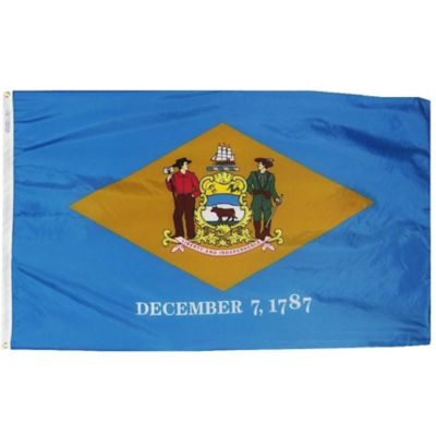 Annin Delaware State Flag, 3 ft. x 5 ft.