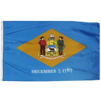 Annin Delaware State Flag, 4 ft. x 6 ft.